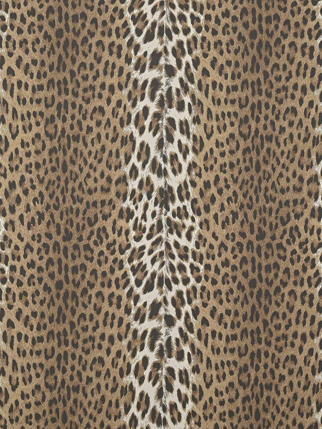 Panthera Sauvage - Les Dessins 6