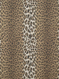 Panthera Sauvage - Les Dessins 6