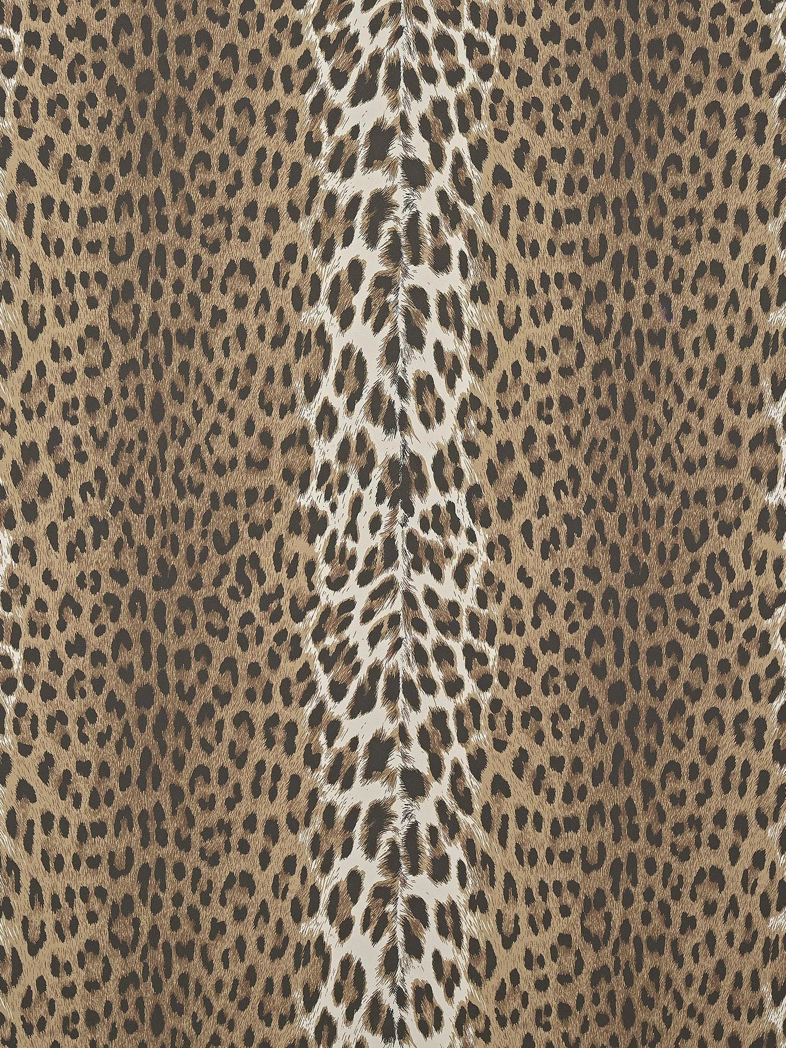 Panthera Sauvage - Les Dessins 6