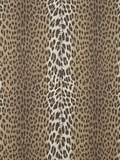 Panthera Sauvage - Les Dessins 6