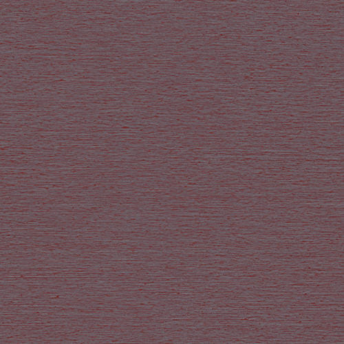 Portfolio - POR4601