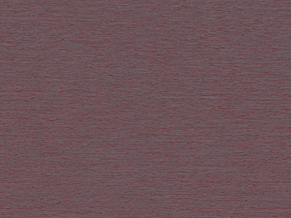 Portfolio - POR4601