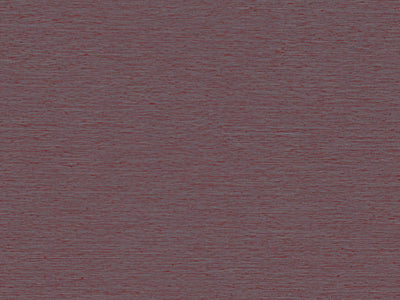 Portfolio - POR4601