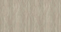 Barite Dove