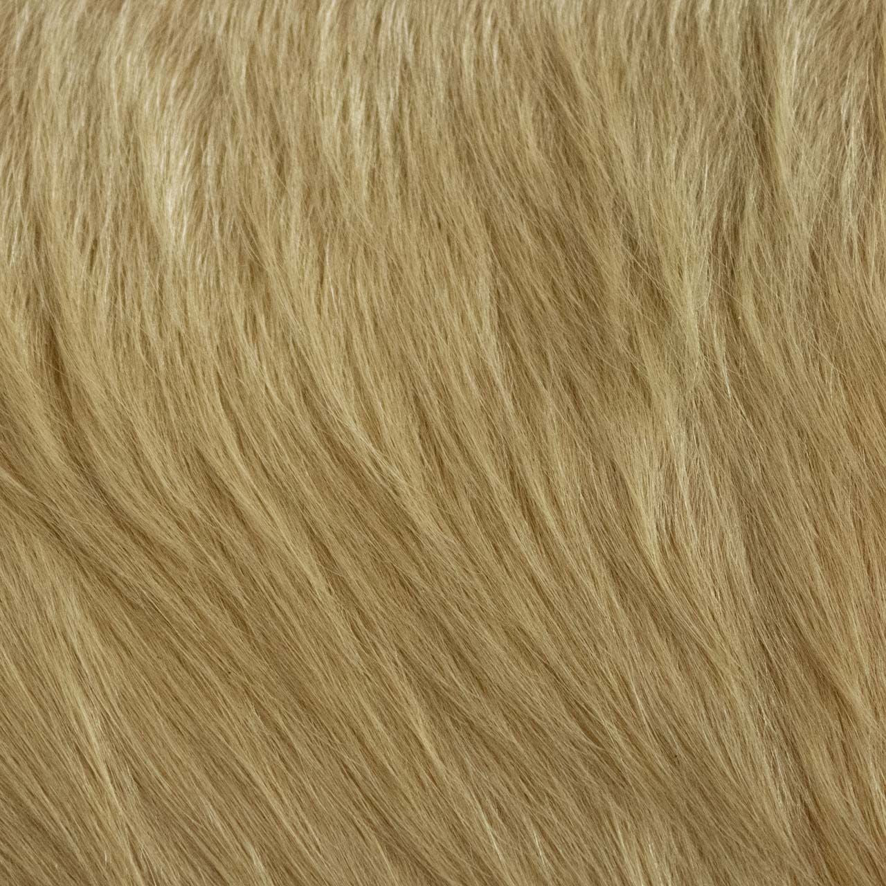 Rodeo Hairy Camel