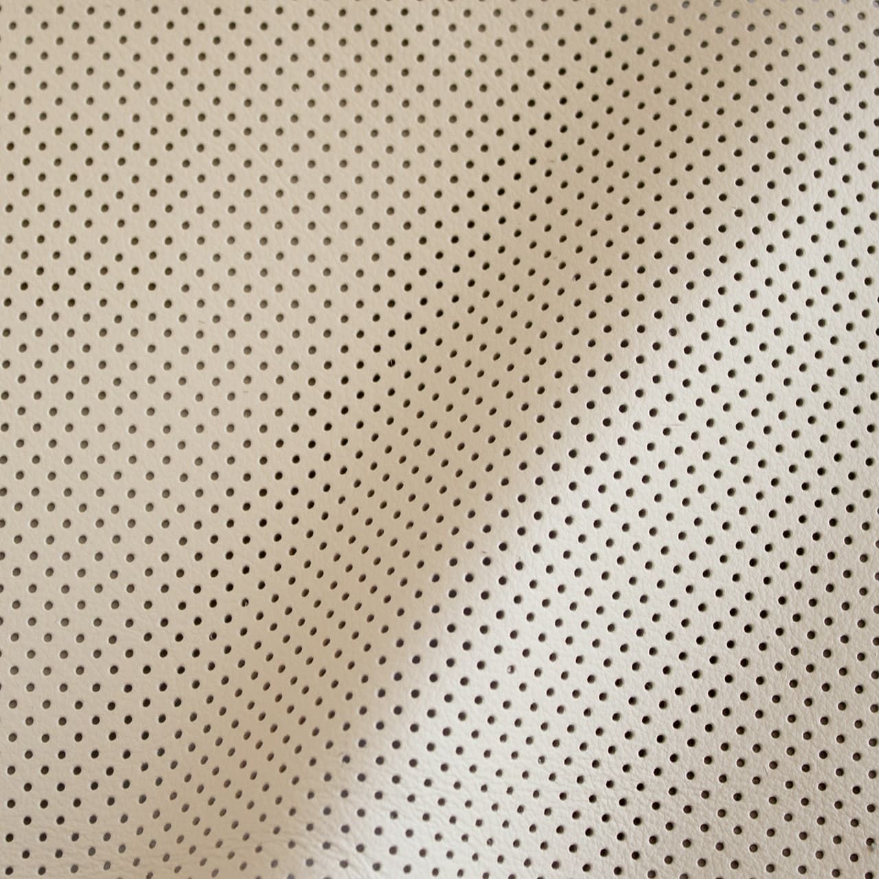 Notch Shell