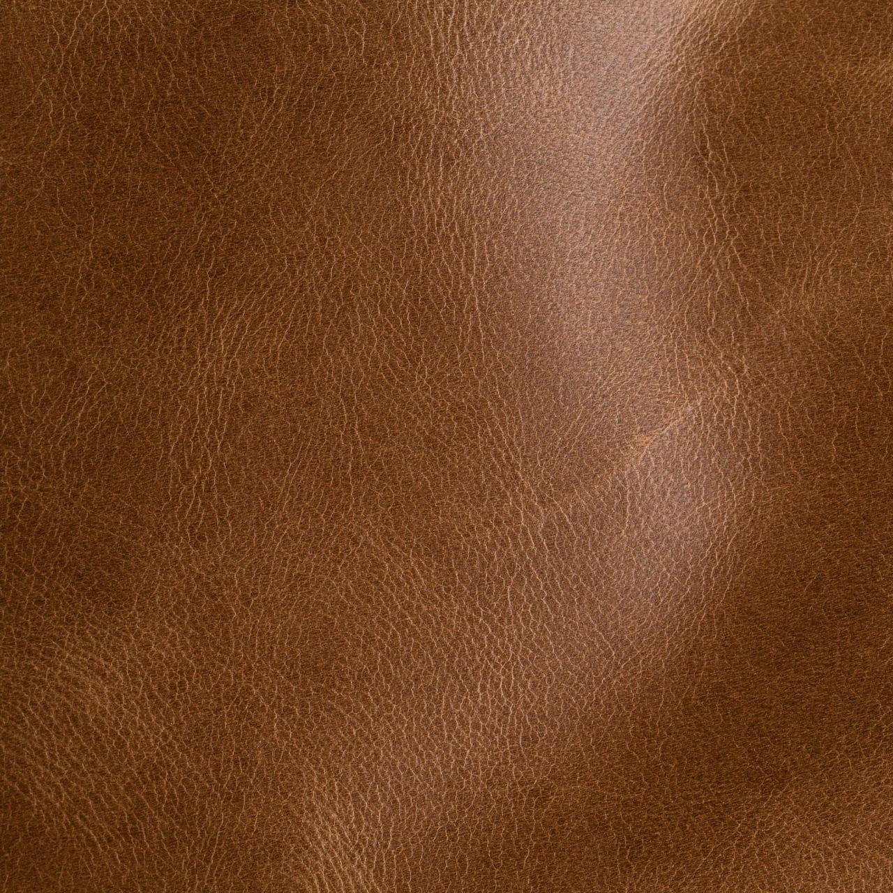 Natural Equitan