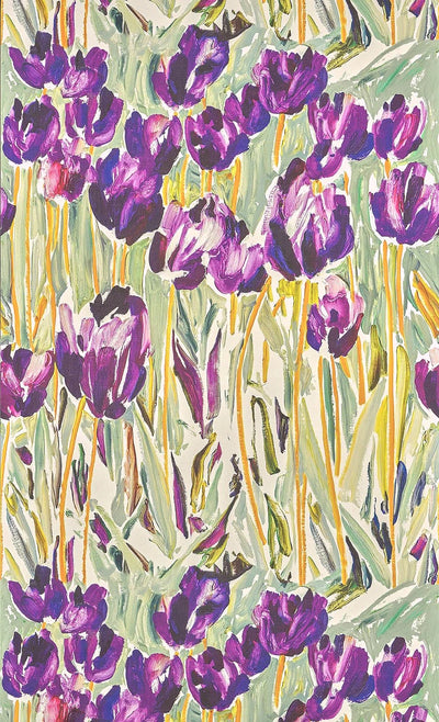 Black tulips Printemps - Jardins Secrets