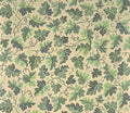 Hedera Lichen - Jardins Secrets