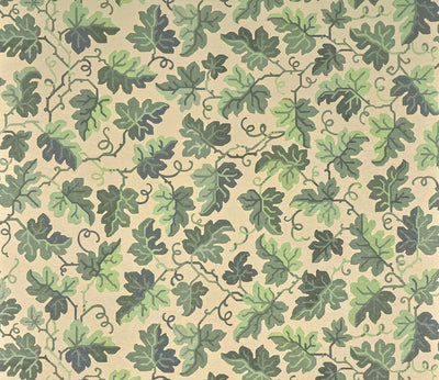 Hedera Lichen - Jardins Secrets