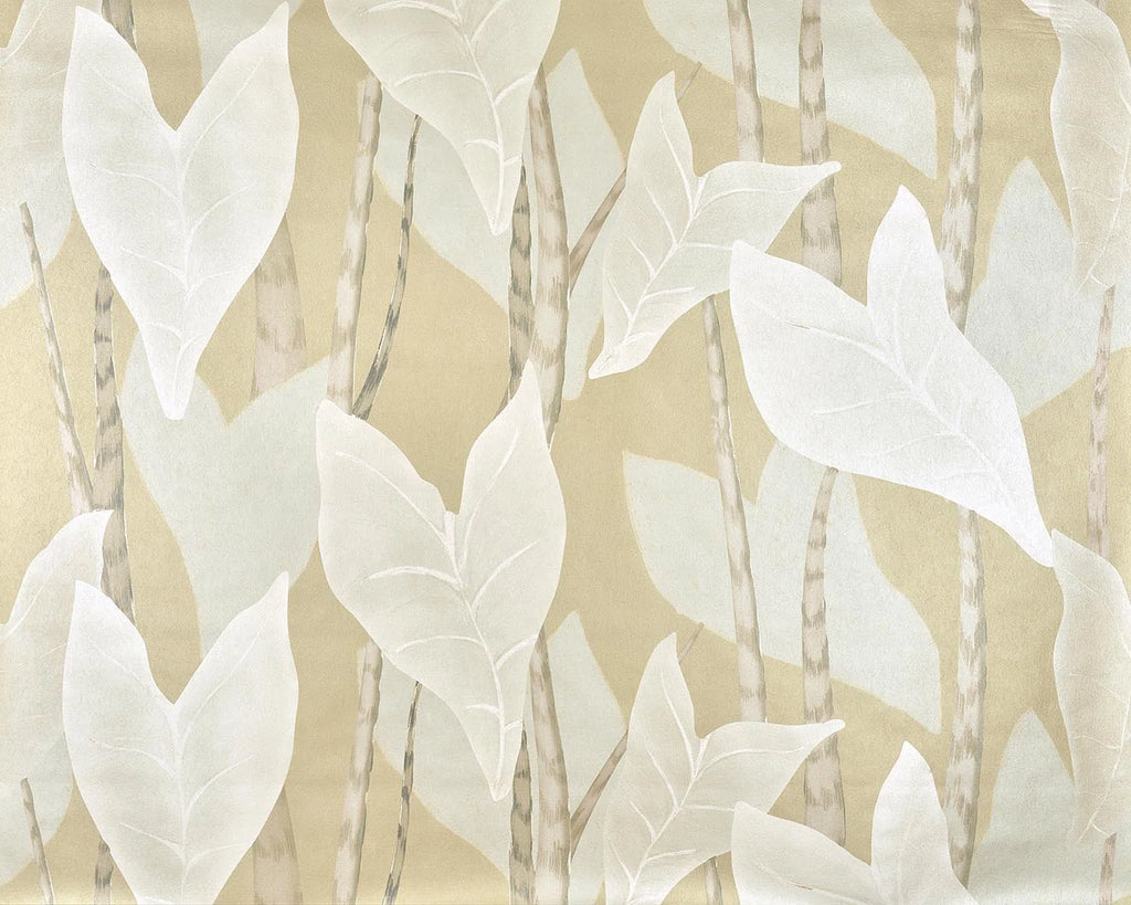 Les graminees Herbe - Jardins Secrets