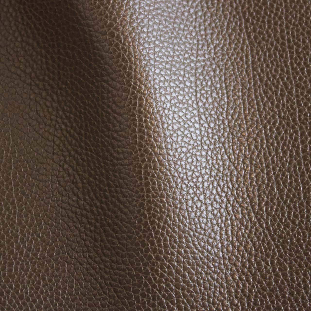Dot Terra