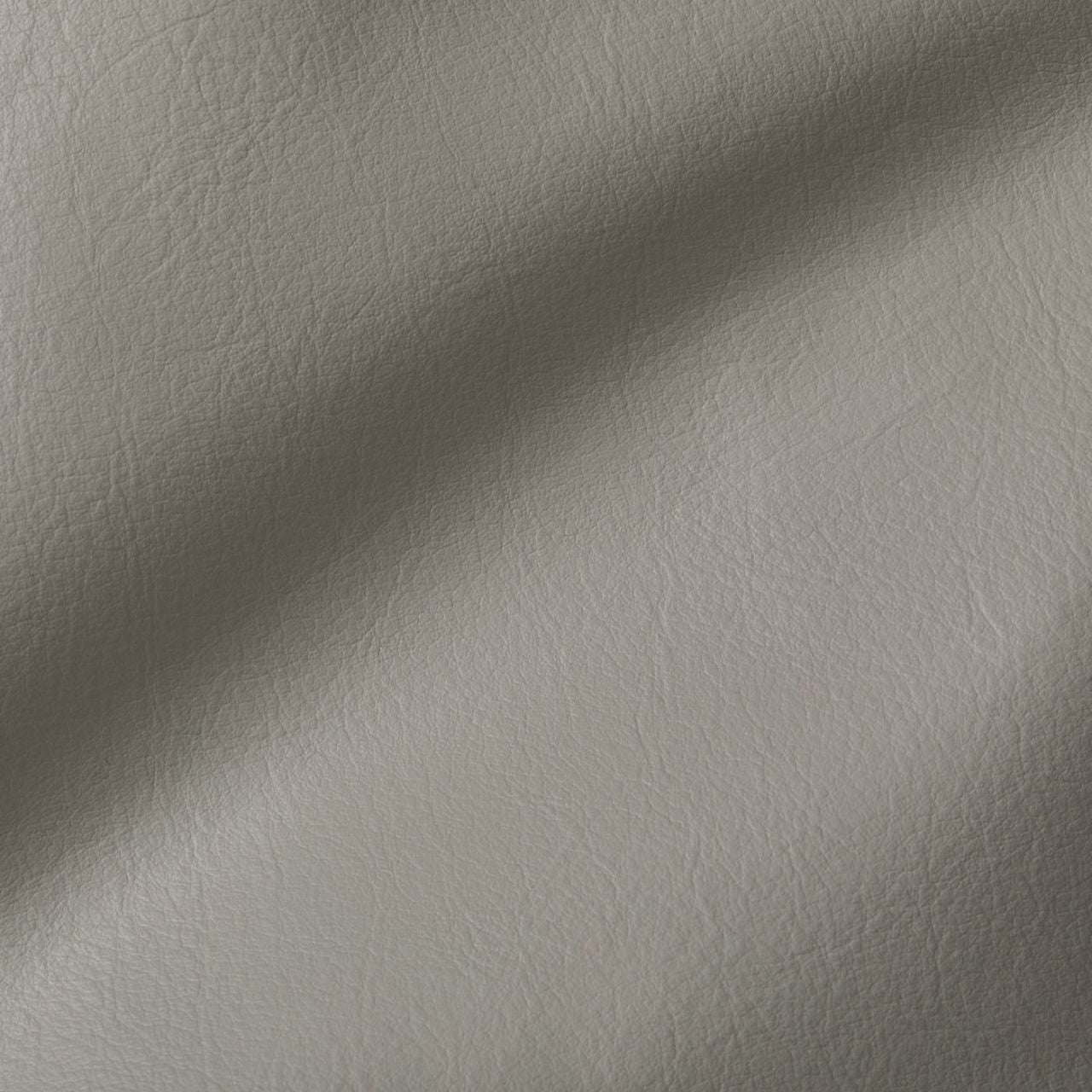 City Light Grey