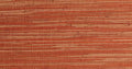Kargha Coral
