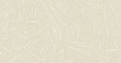 Zebra Moonbeam