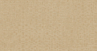Tonnet Safari
