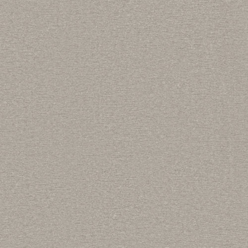Silence - SIL25