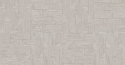 Asterion Angora