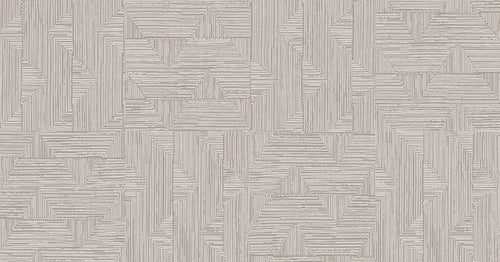 Asterion Angora