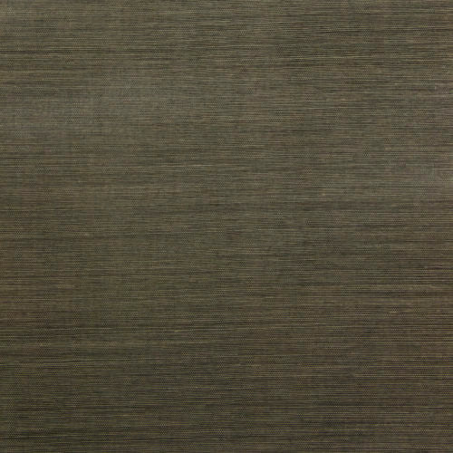 Sumatra - SUA216