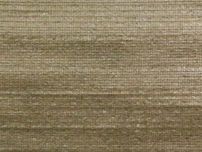 Sumatra - SUA303
