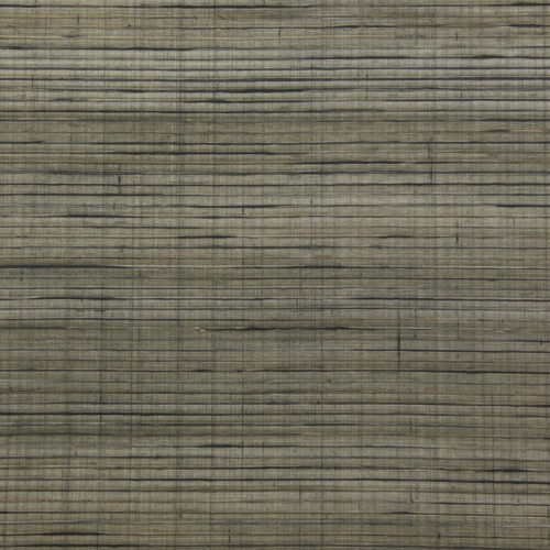 Sumatra - SUA601