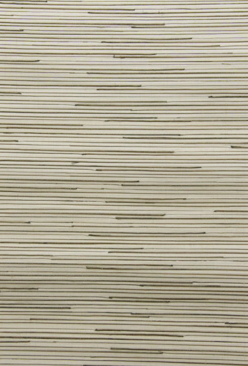 Sumatra - SUA301