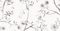 Sari Rock