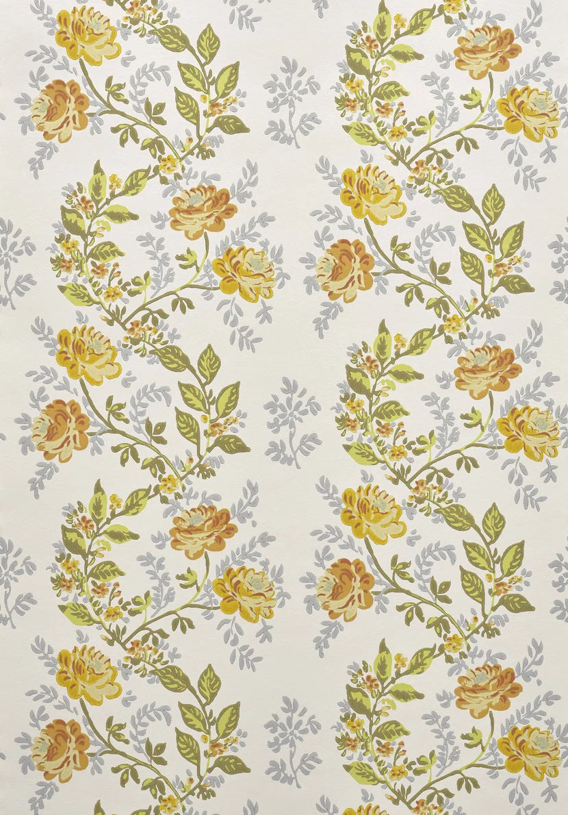Rosa Grisaille - Lumières Boréales
