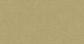 Leto Gold
