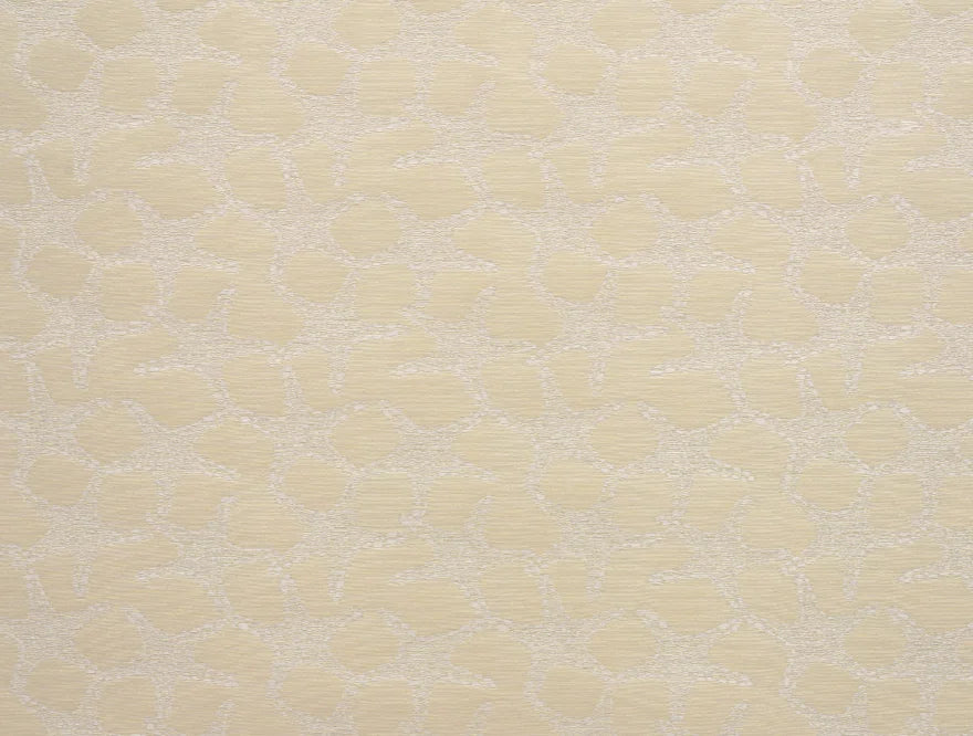 Les cabosses Blond - Cappuccino