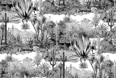 Pampa Jais - Jungle
