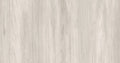 Sugi Beech