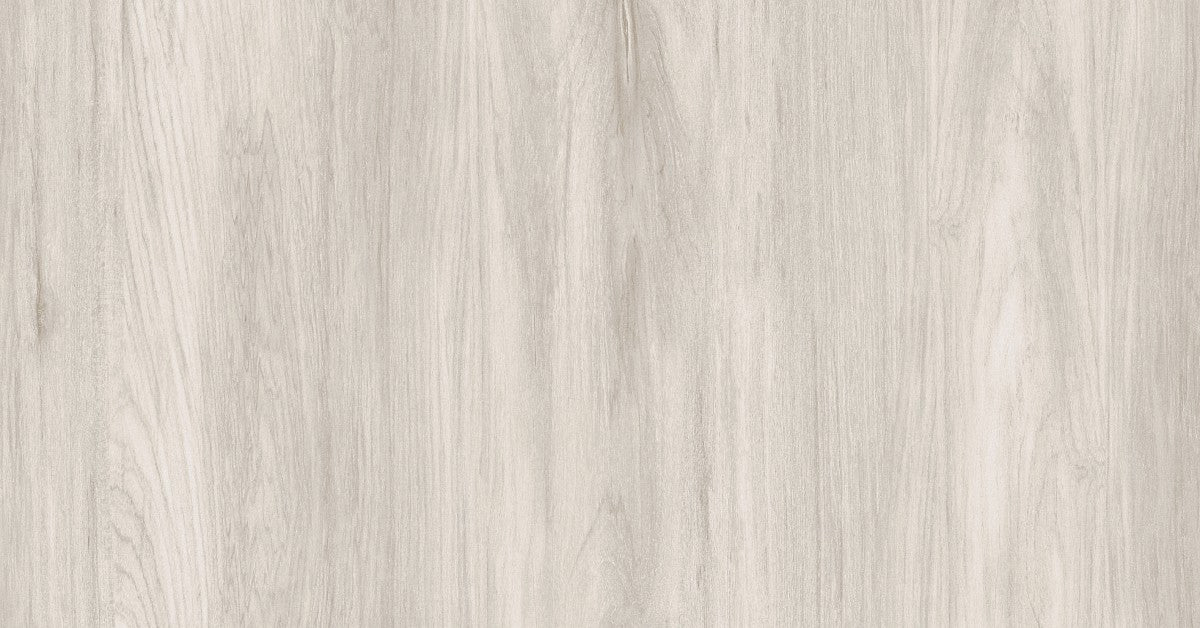 Sugi Beech