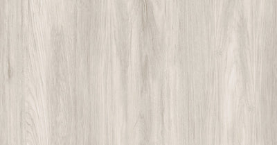 Sugi Beech