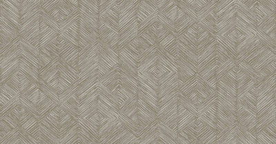 Enitan Taupe