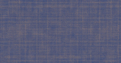 Minna Cobalt