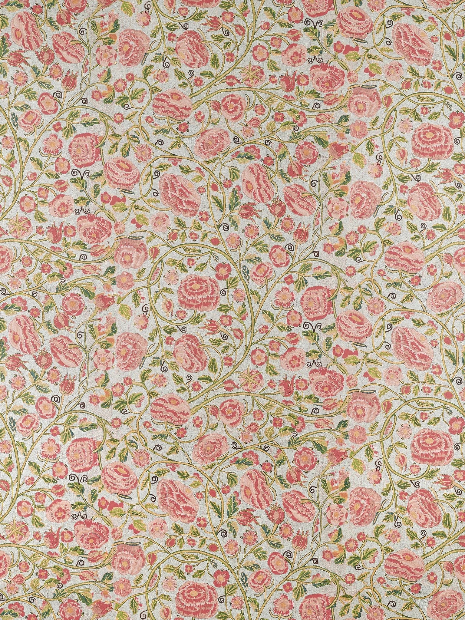 Pavlova Rose - Parade