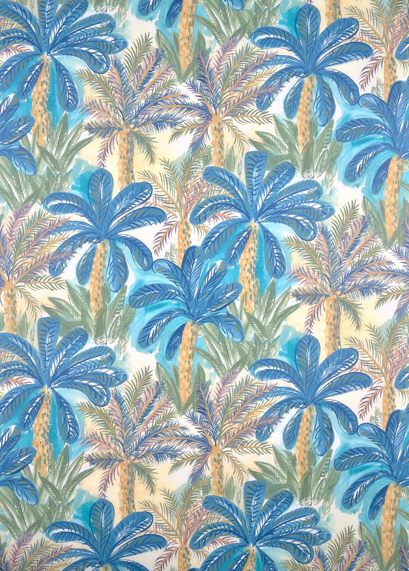Pleine mer Corail - Les Dessins 7