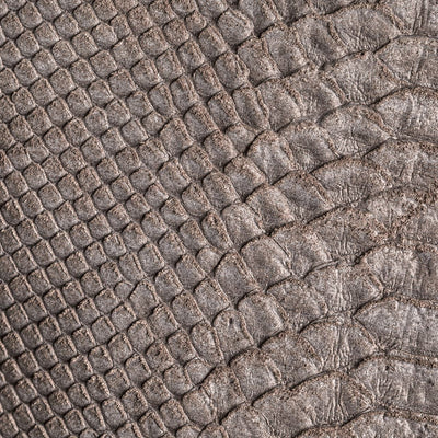 Taipan Atmosfera