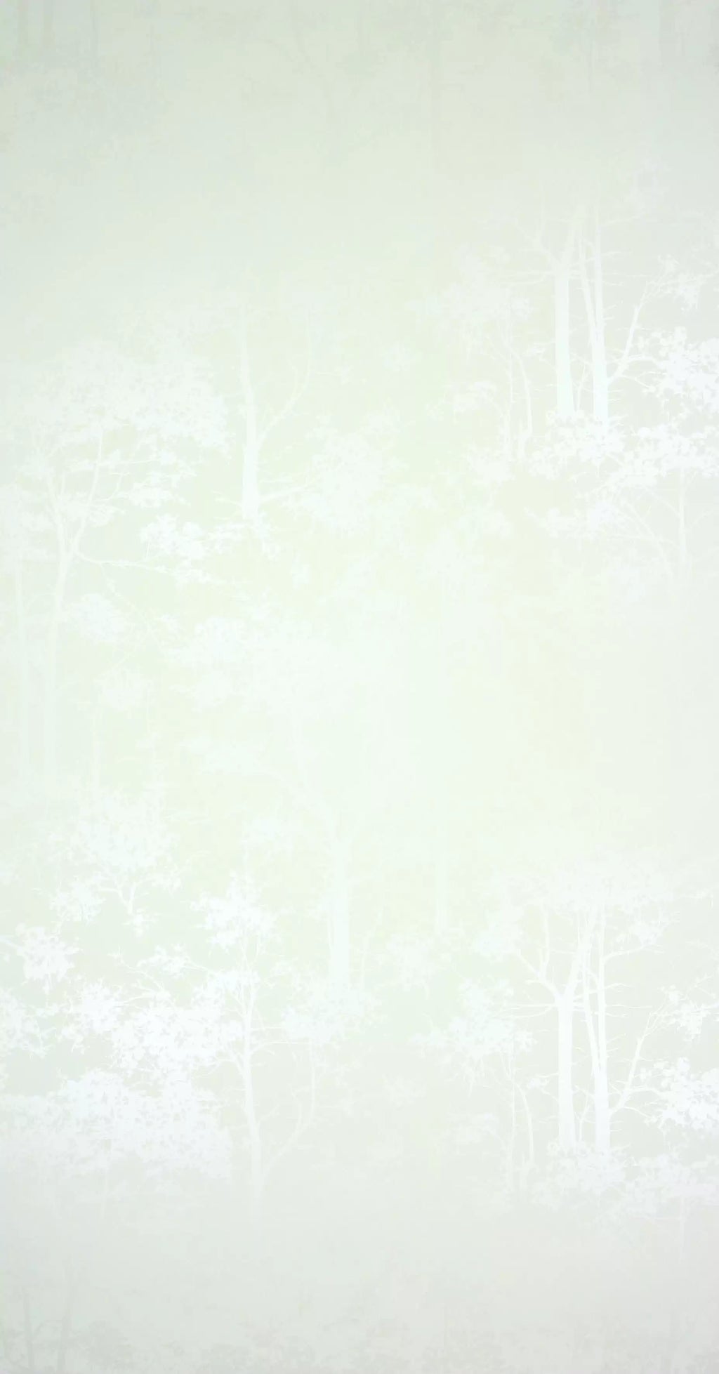 Mandara (O&l Wallpaper Album 5)