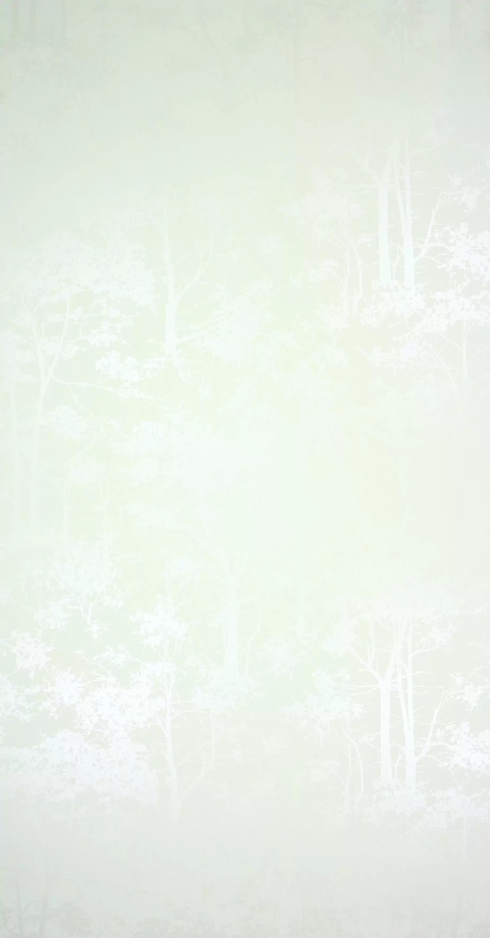 Mandara (Wallpaper Album 7)