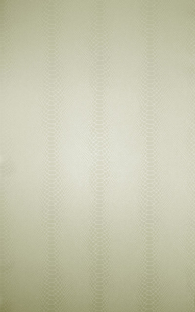 Cobra (Wallpaper Album 7)