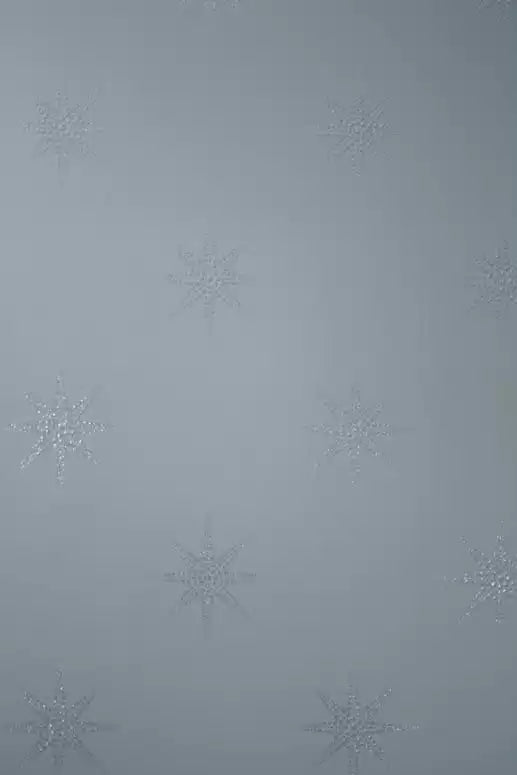 Pampille (Wallpaper Album 7)