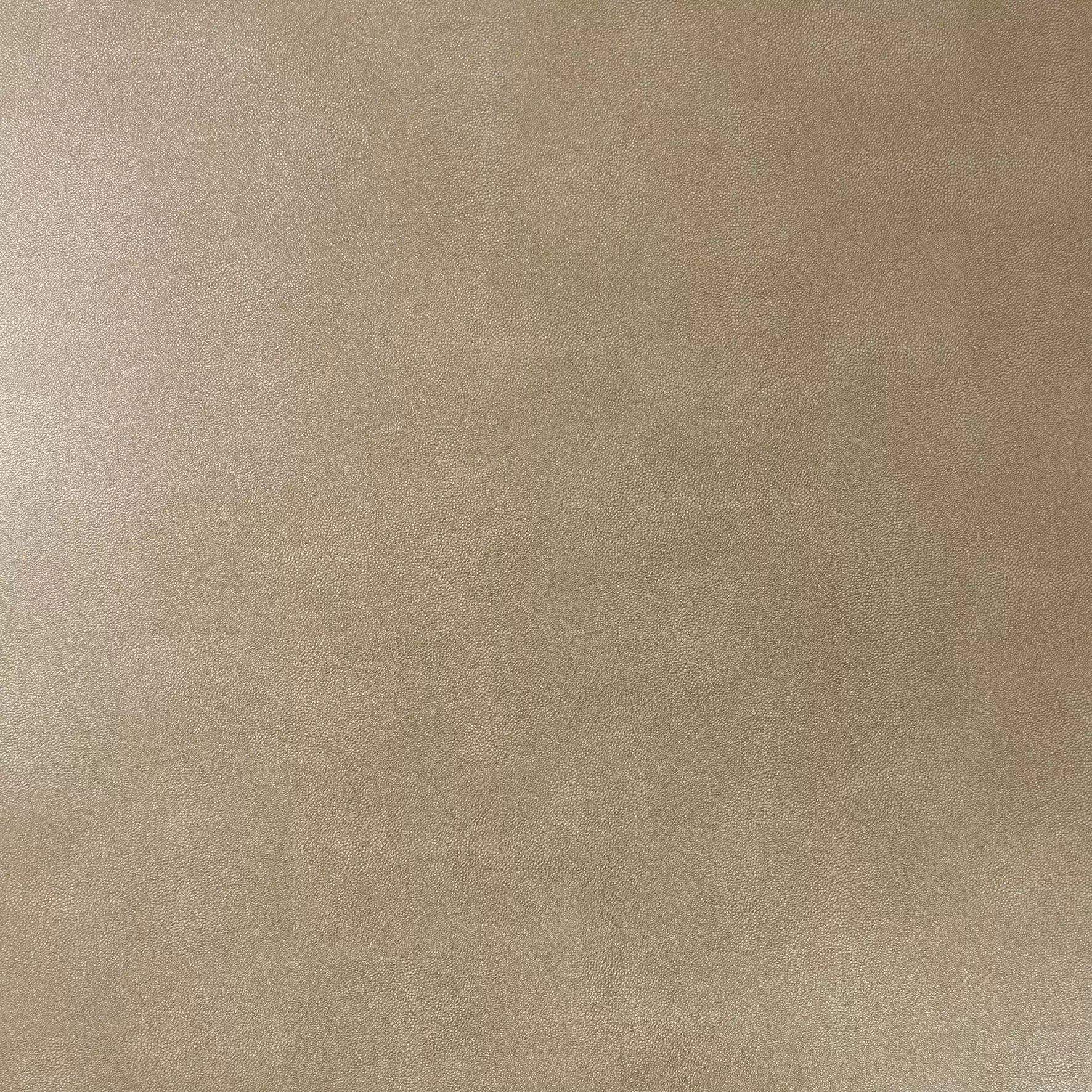 Zingrina (Argentario)