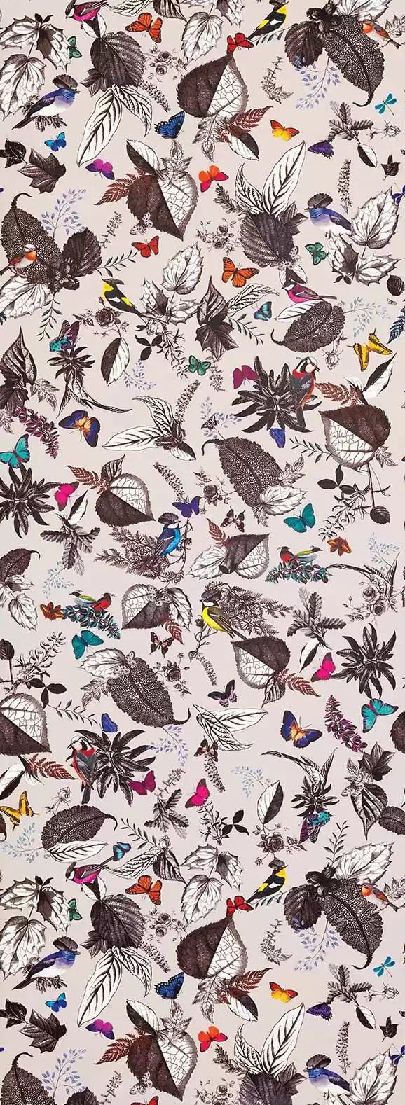 Bird Song (Verdanta)