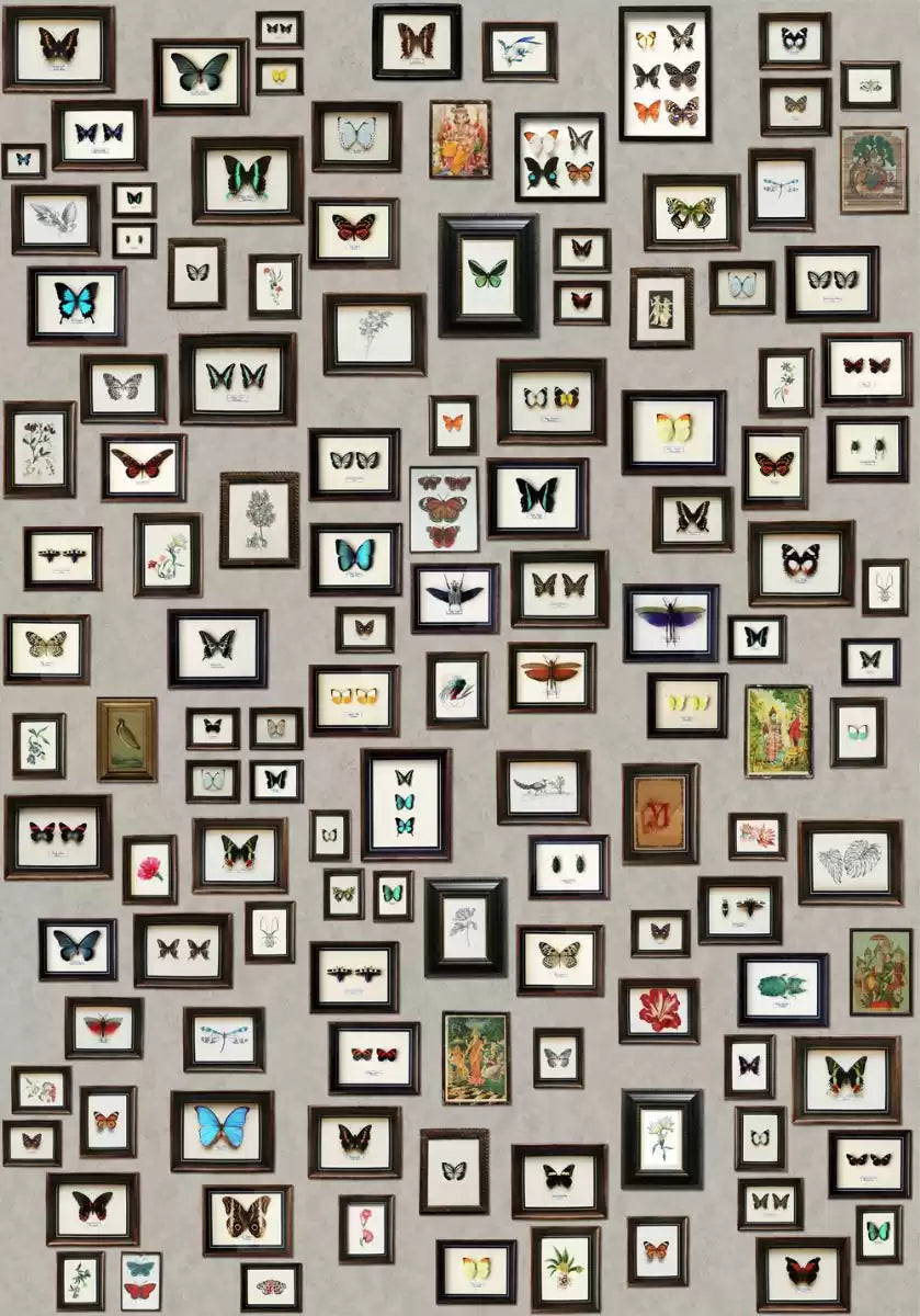 Narissa (The Wallpaper Collection)