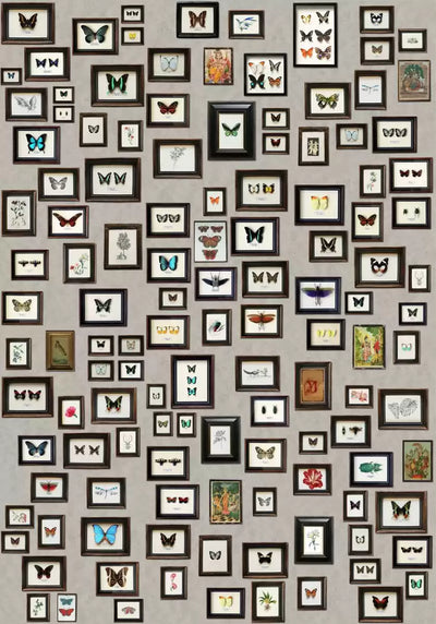 Narissa (The Wallpaper Collection)