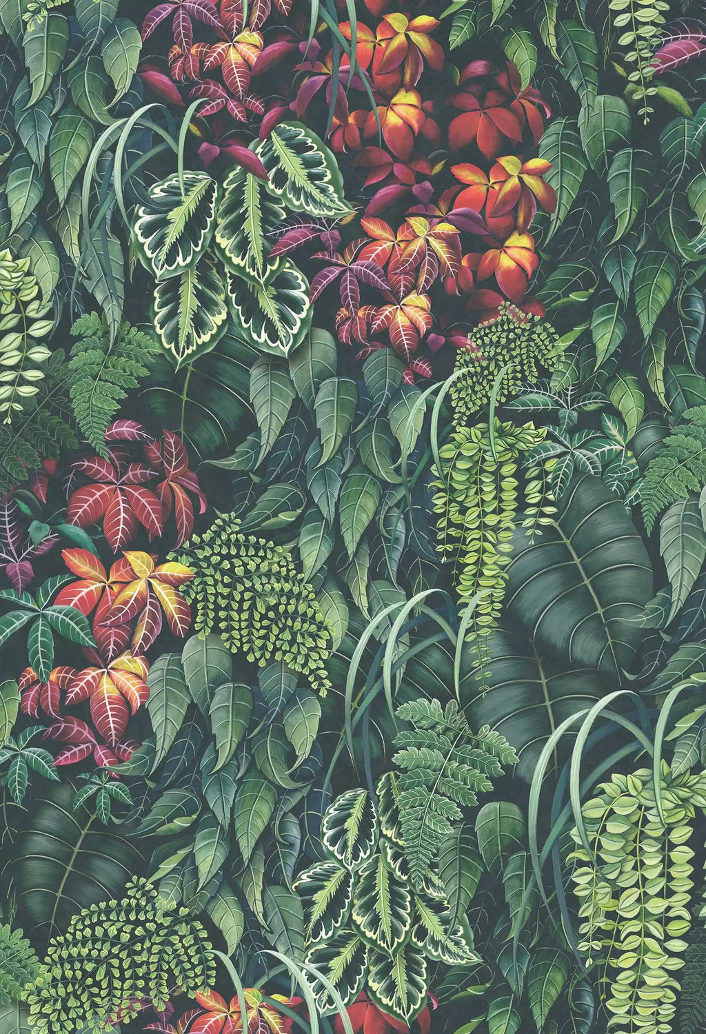 Green Wall (Folium)