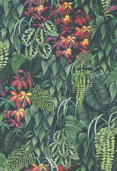 Green Wall (Folium)